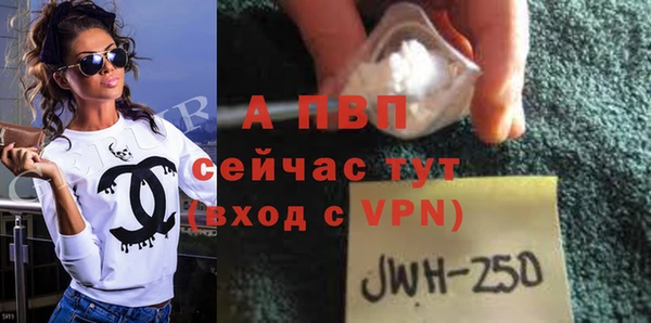 PSILOCYBIN Богородицк