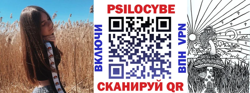 Псилоцибиновые грибы Psilocybe Купить Ельня
